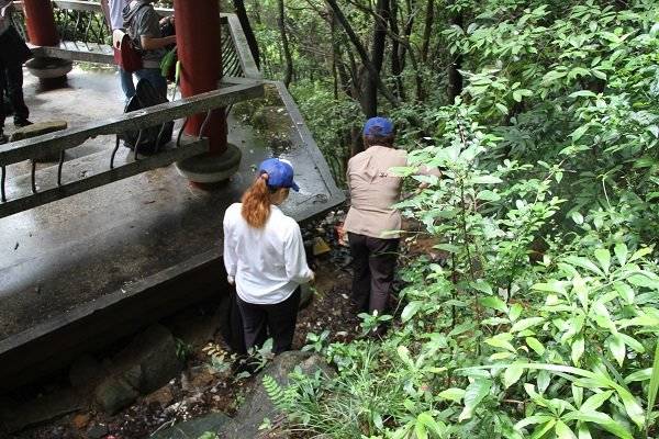 香港免费资料宝典大全